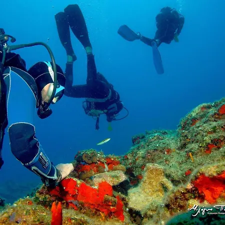 Apartment Flat With 2 Rooms,2 Baths And Seaview